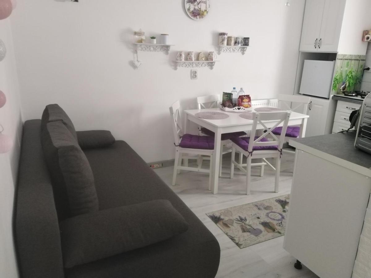 La Monica 2 - Cazare Straja - Lupeni - Retezat - Parang Apartman Kültér fotó